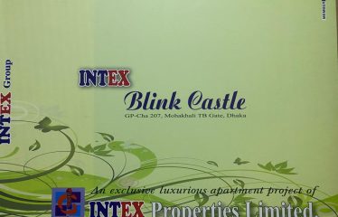 INTEX BLINK CASTLE
